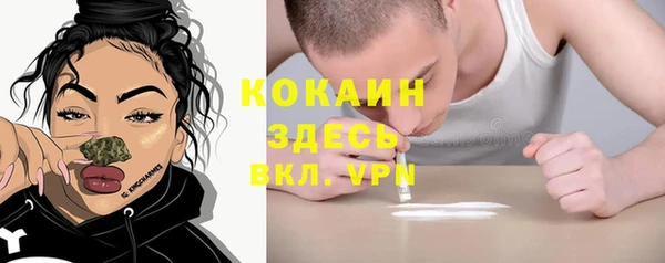 стаф Липки