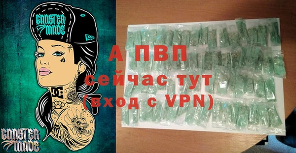 стаф Липки