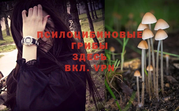 стаф Липки