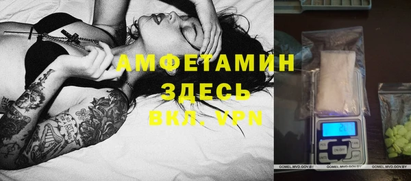стаф Липки