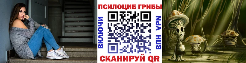Купить  Салехард  Псилоцибиновые грибы мухоморы 